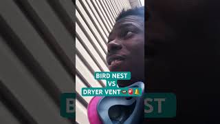 DRYER VENT birdnest dryerventcleaning youtubemilestone youtubers shotrs watchhours subscriber [upl. by Aiotal827]