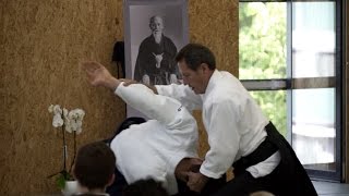 Aikido Christian Tissier Stage de Paque 2017 [upl. by Reinhold819]