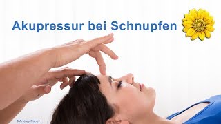 Akupressur bei Schnupfen  TCMInfoabend mit Birgit Kriener  Heilpraktikerschule Isolde Richter [upl. by Ennahtebazile]