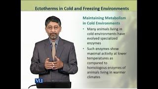 Ectotherms in Cold amp Freezing Environments  Animal Physiology amp Behavior Theory  ZOO502TTopic220 [upl. by Also604]