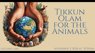 Tikkun Olam for the Animals 11032024 [upl. by Eglantine]