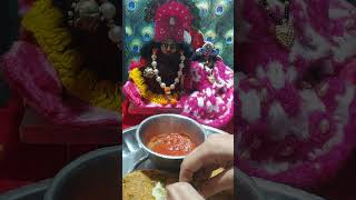 Bhagwan ko Bhog kese lagana chaiye shorts video vashnavi creation [upl. by Robb]