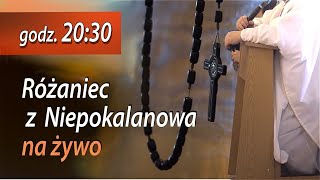 0106 g2030 Różaniec z Niepokalanowa na żywo  NIEPOKALANÓW – kaplica św Maksymiliana [upl. by Brok]