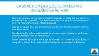 COMO HACER UNA LIMPIEZA INTESTINAL [upl. by Enial]