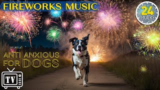 24 Hours of Dog TV amp Relaxing Music for Dogs to Calm From Fireworks Loud Noises with Video for Dog [upl. by Hedges]