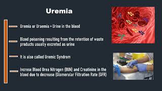 Uremia [upl. by Lachman111]