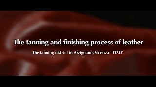 The Tanning and Finishing Process of Leather [upl. by Alitha]