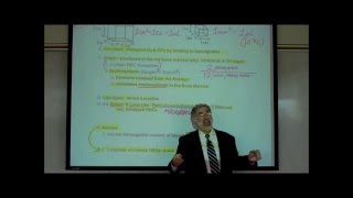 HEMATOLOGY PART 2 by Professor Finkwmv [upl. by Gill]