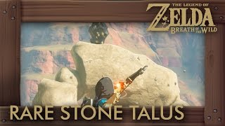 Zelda Breath of the Wild  All Rare Stone Talus Locations [upl. by Presber547]