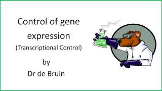 611 Chapter 19  Control of gene expression  Transcriptional control [upl. by Akkim285]