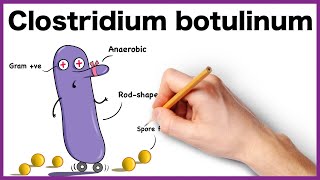 Clostridium botulinum Simplified Morphology Pathogenesis Types Clinical features [upl. by Isabea575]