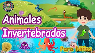 ¿Qué son los invertebrados🐙🐛🦋🐌Animales invertebrados para niños Explicación sencilla con ejemplos [upl. by Lynnell]