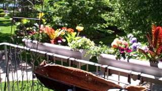 How To Hang Planters on Balcony Patio Railings [upl. by Kipp]