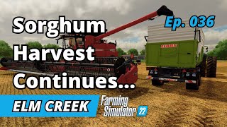 Finishing The Sorghum Harvest amp Field Prep  Elm Creek EP 036  Farming Simulator 22  FS22 [upl. by Pero]