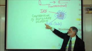 ANATOMY VISCERAL SMOOTH MUSCLE amp CARDIAC MUSCLE HISTOLOGY by Professor Fink [upl. by Inilahs355]