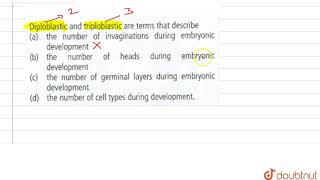 Diploblastic and triploblastic are terms that describe [upl. by Anak]