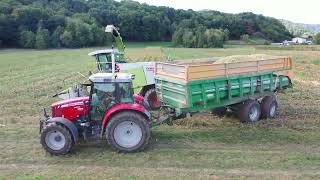 En septembre 2023 à lEARL du Stauffen  VENDANGES amp ENSILAGE DU MAÏS [upl. by Mallory286]