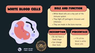 SCIENCE  BLOOD COMPONENTS [upl. by Ahc]