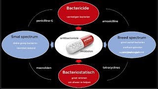 Antibiotica deel 1 levensreddend maar ook levensgevaarlijk [upl. by Bove]