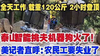 全天工作 载重120公斤 2小时登顶，泰山智能挑夫机器狗火了！美记者直呼：农民工要失业了 [upl. by Esilana]