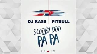 DJ Kass Feat Pitbull  Scooby Doo Pa Pa Remix Audio [upl. by Aliuqehs]