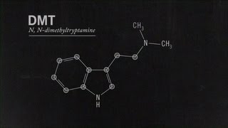 What Is DMT Joe Rogan [upl. by Lekcar]