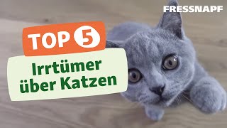 Top 5 Irrtümer über Katzen [upl. by Leihcar]