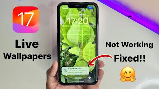 iOS 17 Live Wallpapers are not working on iPhone Fixed  How to enable Live Wallpapers iOS 17 [upl. by Lenahc]