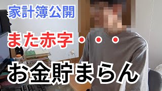 資産499万円フリーターによる家計簿・資産公開 [upl. by Ahsienom]