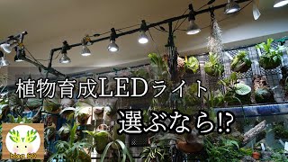 【植物育成LEDライト】その光…まさに太陽🌱 [upl. by Stan14]