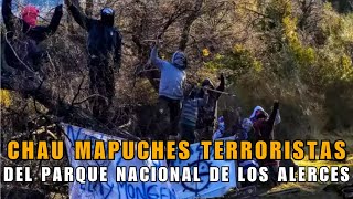 Chau terroristas mapuches inminente desalojo en el Parque Nacional de Los Alerces  ASN [upl. by Witkin]