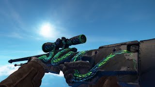 AWP  Atheris WellWorn  CSGO Skin Showcase [upl. by Ayle]