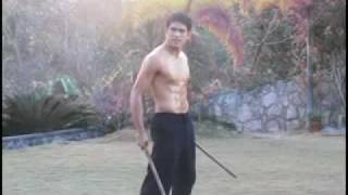 Gerald Anderson Arnis Demo [upl. by Behrens331]