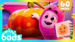 Check out my big Halloween Pumpkin  Minibods  Rob the Robot amp Friends  Funny Kids TV [upl. by Wilkinson]