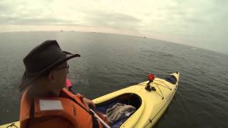 Kayaking with Cape Fur Seals  Walvis Bay Namibia [upl. by Oeniri]