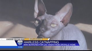 Exclusive Hairless Catnapping investigation in Oroville [upl. by Ettelliw]