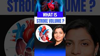 What Is Stroke Volume neetbiology neet2025 riturattewal strokevolume [upl. by Lomasi711]