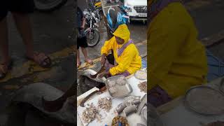 fish market kamothe navi mumbai fishmarket fishauction machimarket fishmarketvlog shorts [upl. by Georgeanna]