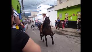 Cabalgata de Piedecuesta [upl. by Nerraw497]