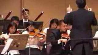 Franz Schubert  Sinfonie Nr3 mov1  シューベルト：交響曲第3番 第1楽章 [upl. by Sellig]