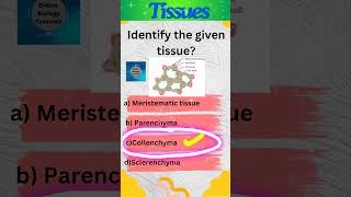 Collenchyma  Plant tissues  Tissues  Class 9 Science  shorts [upl. by Araeit]