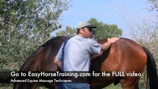 Advanced Equine Massage Techniques [upl. by Airdnassac]