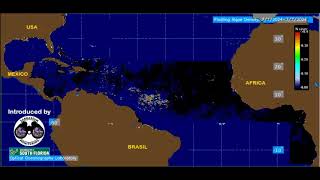 2024 Sargassum Monitoring® Official  Sargassum Seaweed Evolution july 2024 [upl. by Wallraff]