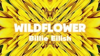 Billie Eilish  WILDFLOWERLyrics BillieEilish [upl. by Seroka]