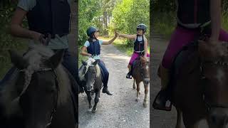 😜 equestrain horse fyp viral shorts [upl. by Ayahc]