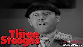 THE THREE STOOGES Disorder in the Court 1936 HD 1080p  Moe Howard Larry Fine Curly Howard [upl. by Oina]