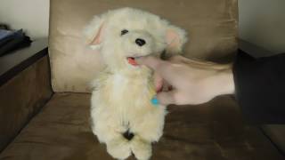 FURREAL SCAMPS MY PLAYFUL PUP GOLDEN RETRIEVER DOG [upl. by Arrait541]