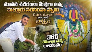 మానవ శరీరంలా మెత్తగారోమాలతో ఉన్న నరసింహ స్వామి  Malluru Narasimha Swamy Temple  Malluru Temple [upl. by Erdne]