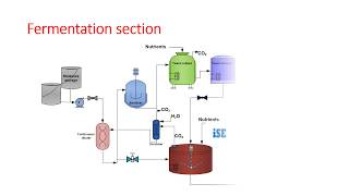 Ethyl alcohol manufacturing by molasses fermentation [upl. by Josee]