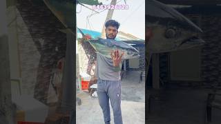 కర్నూల్ 10kg tuna fish డెలివరీ చేశానుviralreelstrendingreelsseafishseafishingramufishpacking [upl. by Killam315]